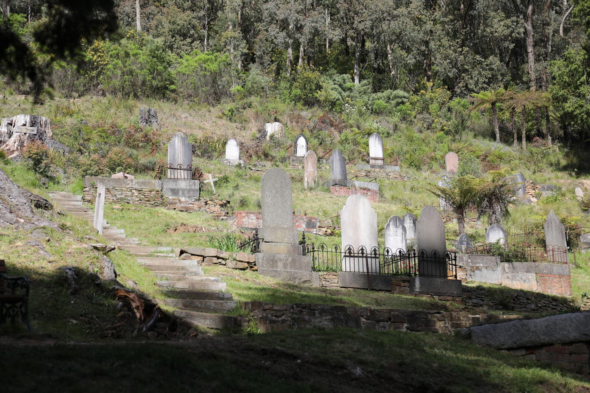 West Gippsland Scenic Day Tour