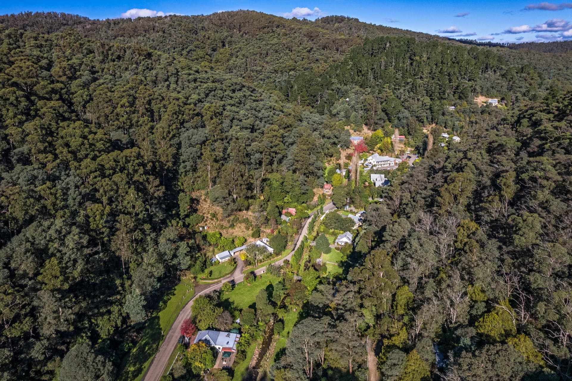 West Gippsland Scenic Day Tour