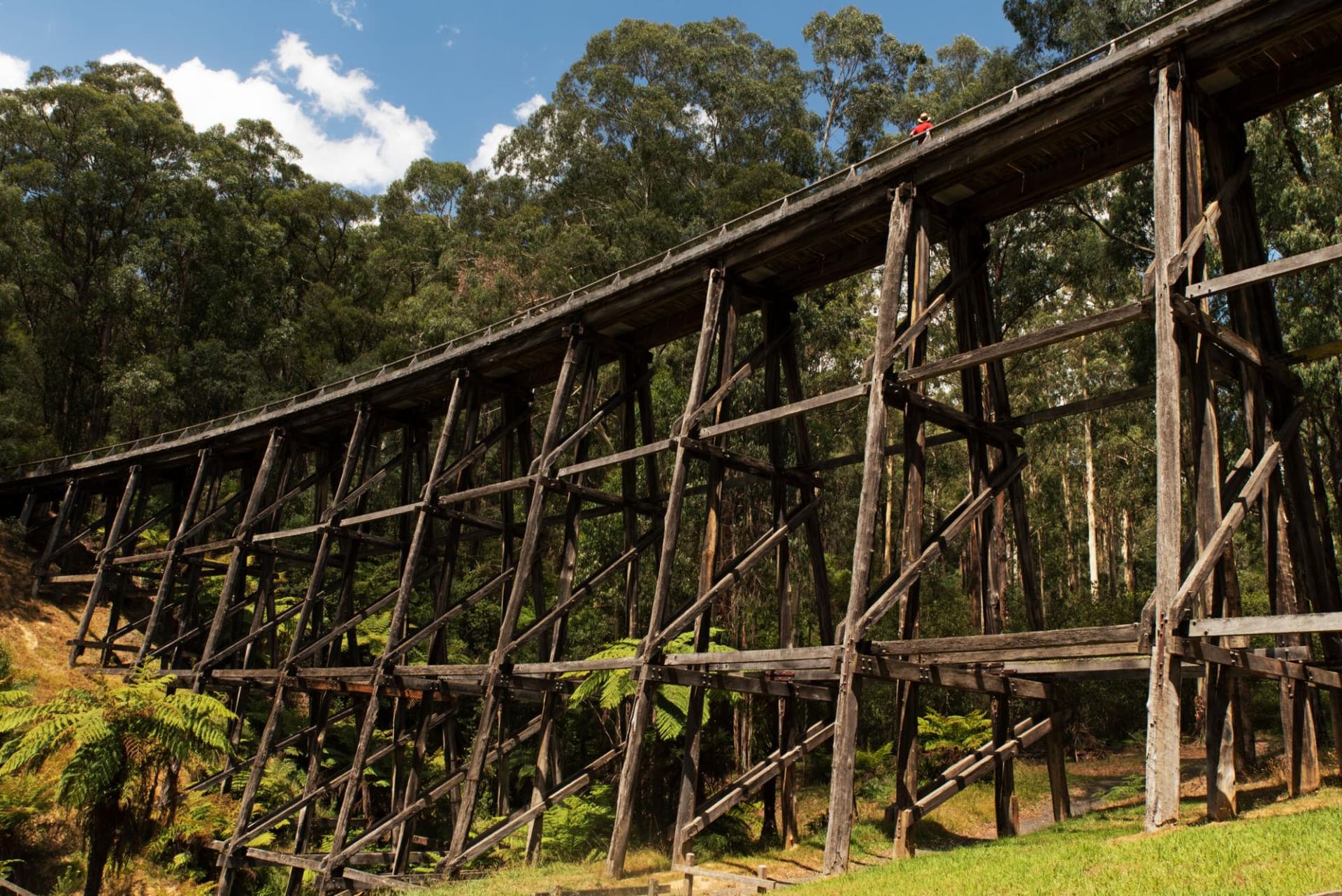 West Gippsland Scenic Day Tour